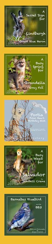 all books childrens nature photo books