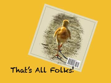 thats all folks sandhill crane baby