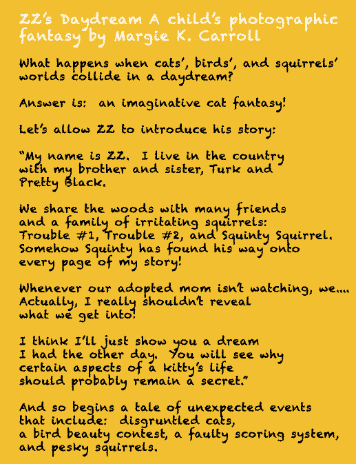 zz daydream childrens cat story