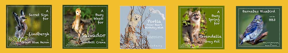 margie carroll press childrens story nature books